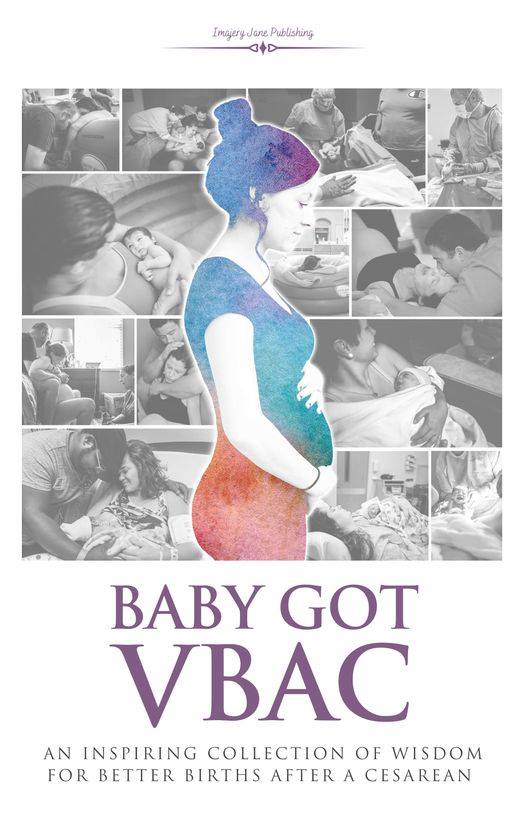Baby Got VBAC Book