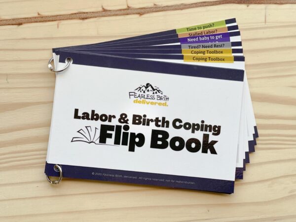 labor and birth flip book 2.0