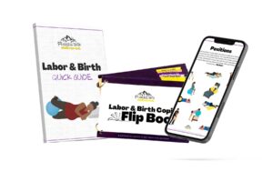 Fearless Birth Delivered flip Book