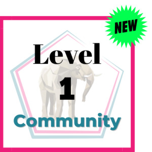 Level 1 Community