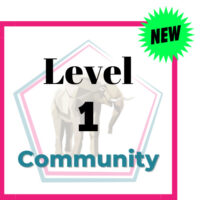 Level 1 Community